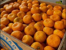 Продам мандарины крупный,  средний, мелки  всё перибрано готово к отправке    верхняя Эшера самовывоз 