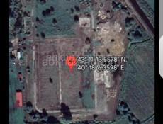 5.5га Пицунда. 