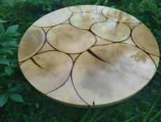 Срез платана