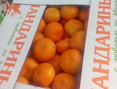Мандарины продаю