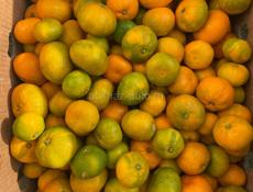 Продаю мандарины (Для сока) 