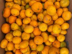 Мандарины (для сока)