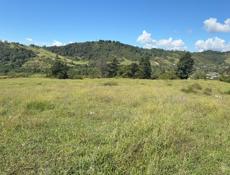 Очень срочно 45 сот 