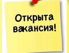 Требуется Повар!