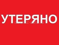 Утерян розовый пакет 