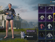 Аккаунт в пабг