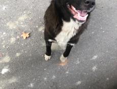 КТО ПОТЕРЯЛ ? 