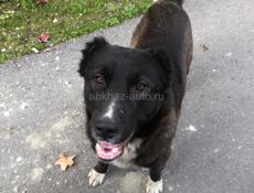 КТО ПОТЕРЯЛ ? 