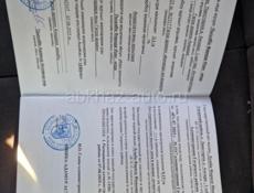 П.Лапстарха, ЦАНДРЫПШ