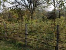 Продаю участок на Бзыби по центральной улице 