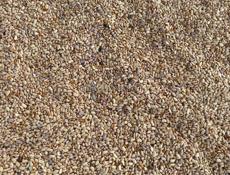 Продаю домашнюю фасоль 