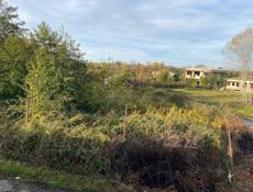 Калхида ,по центральной трассе 