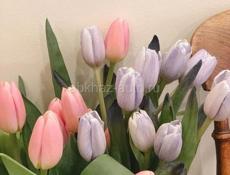 Пойдём на сбор мандаринов срочно!