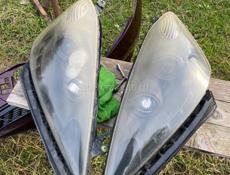 На Honda фит фары 