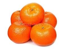 ИЩУ РАБОТУ НА СБОР МАНДАРИНОВ