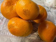 Продаю мандарины на сок