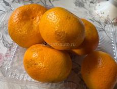 Продаю мандарины на сок 