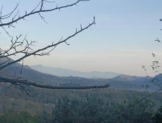 Присматрю за вашем домом, уход за садом 