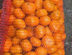 Продам мандарины