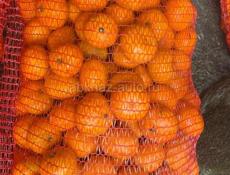 Продам мандарины