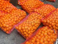 Продам мандарины