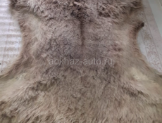 Шкура медведя !