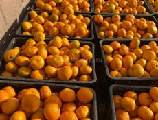 Мандарины Крупные !