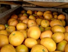 Мандарины 2 тонны. 70р подряд