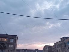 Пойдём на сбор мандаринов!