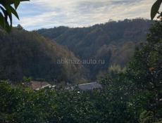 Пойдём на собор мандарин 