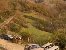 Пойдём на сбор мандарин 