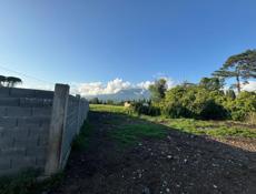 Пицунда, Алахадзы 