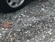 Обмен колёсами 16 у меня 