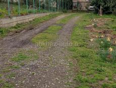 🍋 ЛИМОН !! 500-кг .цена- договорная!! По--Агудзеа