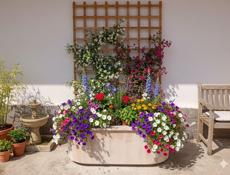 Цветочные вазоны 