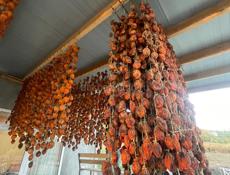 Хурма сушеная 