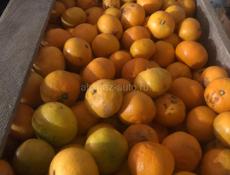 Мандарин на сок 