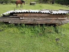 Продам лес СРОЧНО !!!!