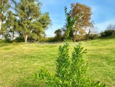 Продаётся участок 7 соток 