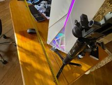 дерево настоящее