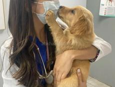 ИЩЕМ АССИСТЕНТА 