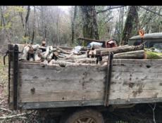 Дрова под заказ по Абхазий 