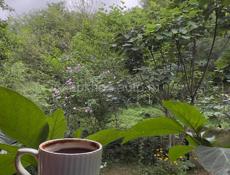 Квартира новый район 