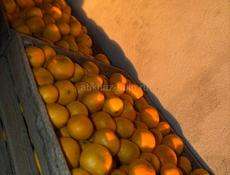 Мандарины!!!