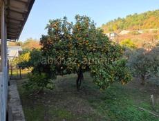 Цандрипш продажа участка 