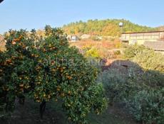 Цандрипш продажа участка 