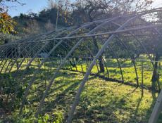 Теплица 25-30 метров 