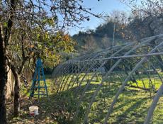 Теплица 25-30 метров