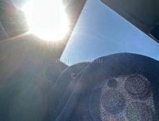 Куплю травмат