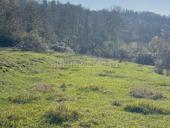 Продается участок 50 соток